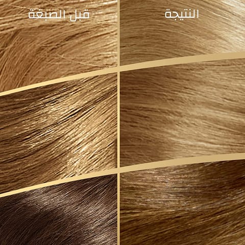 ARGAN  HAIR COLORING OIL KIT / BLACK 1.0