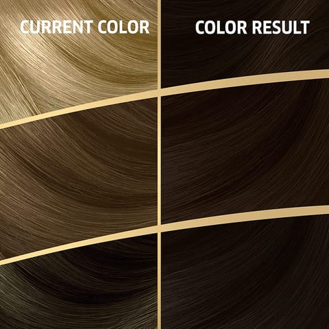 ARGAN  HAIR COLORING OIL KIT / BLACK 1.0