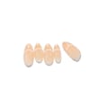 Nails Almond - 25 Nude/White