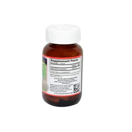 Spektrum Echinacea with Vitamins & Minerals 60 Gummies