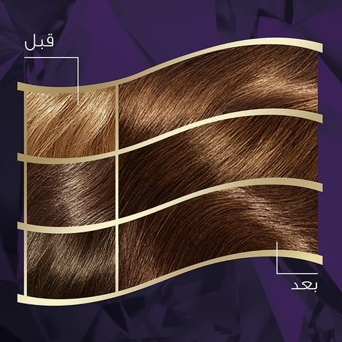 ARGAN  HAIR COLORING OIL KIT / BLACK 1.0