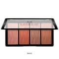 Make Over22 Blush Palette# M4303 Wander