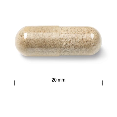 JP Turnero 225 mg 30 Tablets