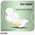 Kotex Maxi Night Natural 44 Daily Panty Liners