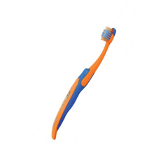 بيوردنت-جونيور