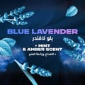 Axe Aero Blue Lavender Deo Spray 150Ml
