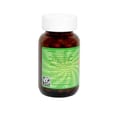 American International Lab Diet Power 60 Capsules