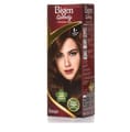 Bigen Hair Color Deep Chestnut
