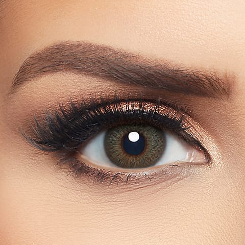 Layala Color Lens - Gray Royal