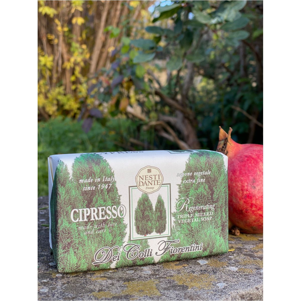 Nesti Dante Dei Colli Fiorentini Cypress Tree 250G
