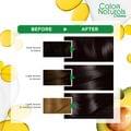 Hair Color Naturals 2 Luminous Black 110Ml
