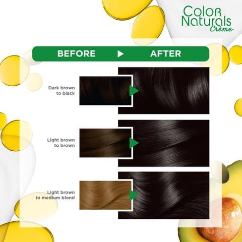 Excellence Crème Permanent Hair Color, 7.7 Honey Brown