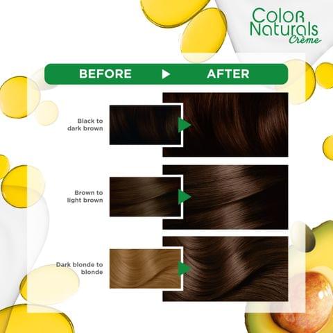 Olia, 4.0 Dark Brown, No Ammonia Permanent Haircolor, with 60% Oils