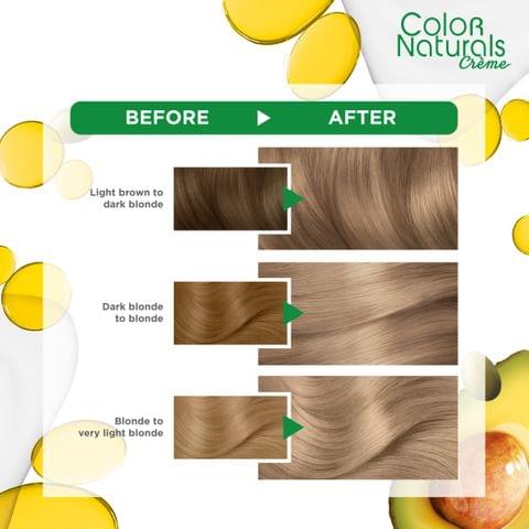 Excellence Crème Permanent Hair Color, 7.7 Honey Brown